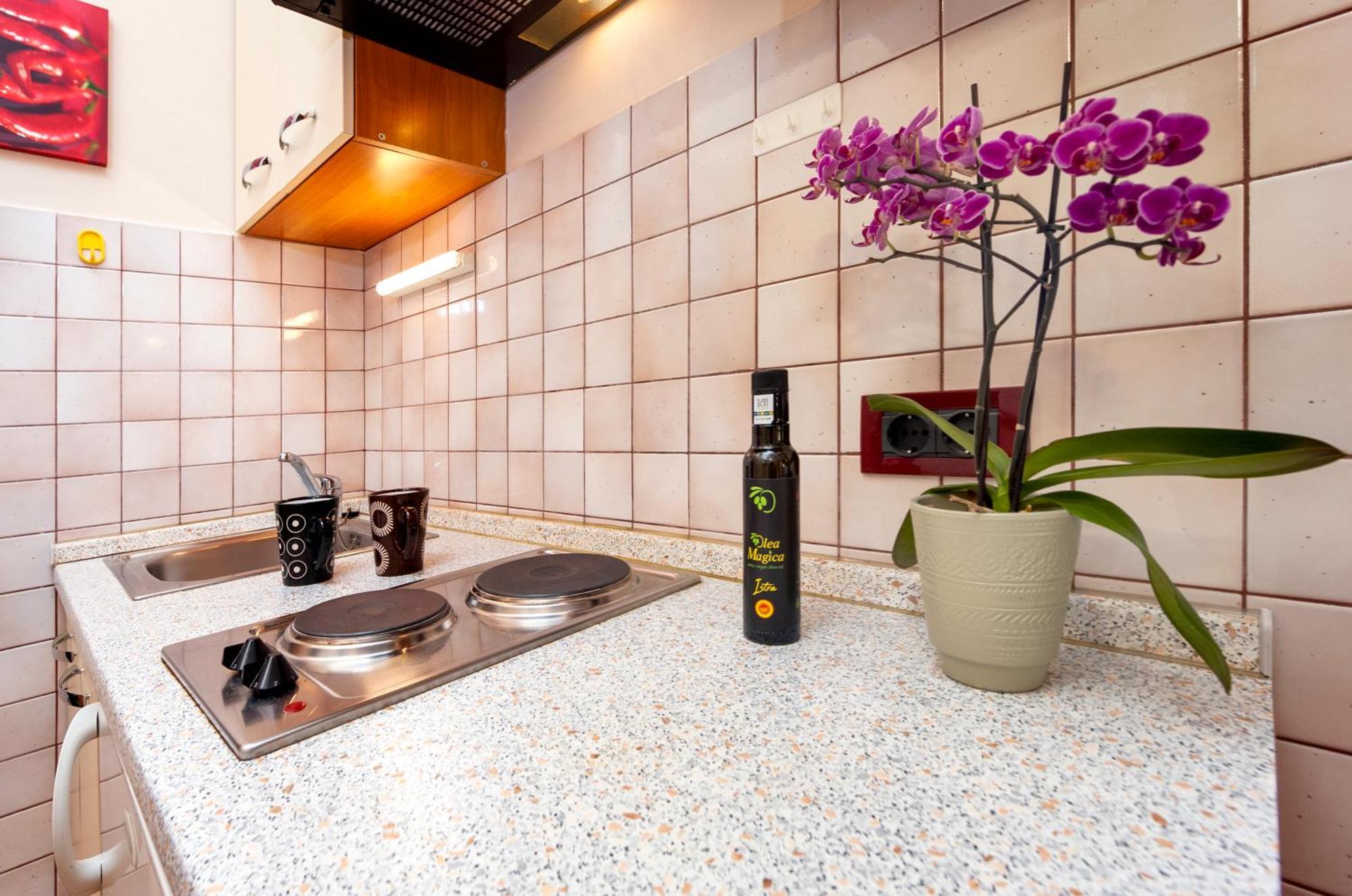 Apartment Brigita 1 Rovinj